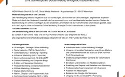 Online-Marketing Expertise